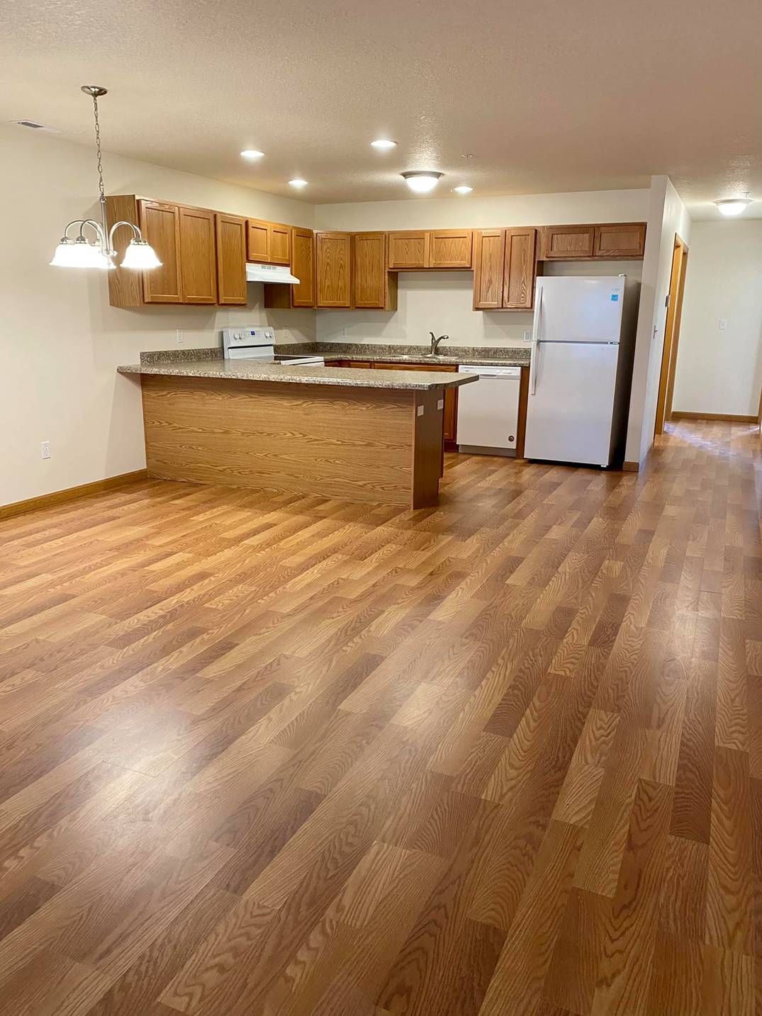empty apartment kitchen and living room
