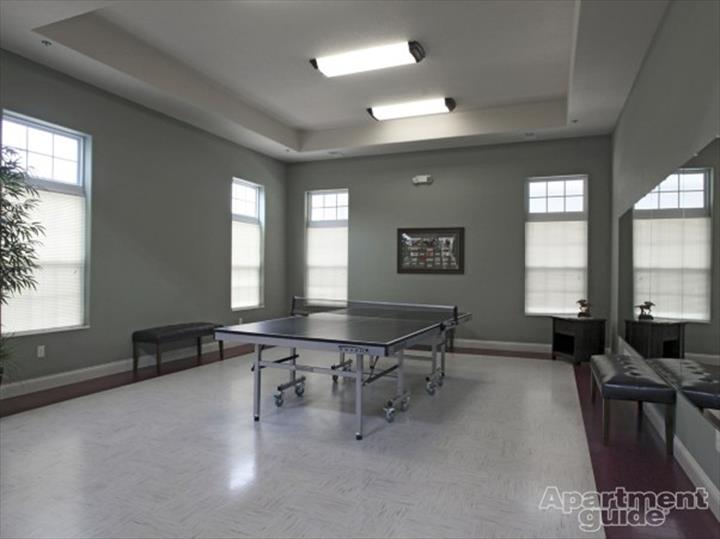 ping pong table in green room